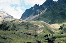 Peru-Cusco-In Search of Machu Picchu